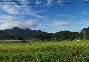 Setouchi Cominca Stays Hiroshima Chojaya
