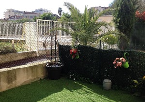 Shared Pool and Garden