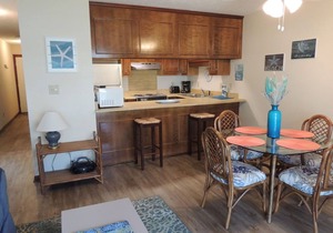 Shipwatch Pt II N106 1BR 1BA Second Row Condo close to popular shore drive