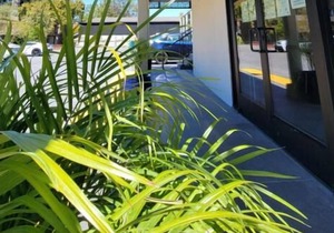 Shopping Spree at Westfield Valley Fair Shopping Mall and Santana Row! Parking