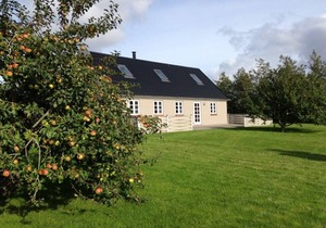 Sillerslev/Øster Assels. Lovely holiday house. 300m. to island’s best beach