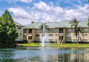 Silver Lake Resort - 1BR Suite - Sunday Check-in