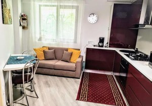 Simona Apartament Palas Mall 1