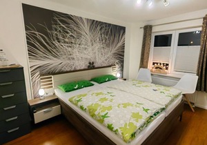 Single room 2 with shower/toilet in the hallway - guest house "Arkona"
