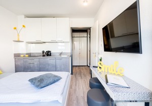 Single room apartment Business (small aparthotel, without breakfast)