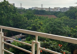 single room Hitech Shilparamam Guest House