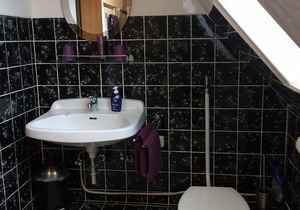 Single room, shower, toilet
