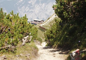 Single room with shower od. Bathroom, toilet - private room Waltraud Gattringer