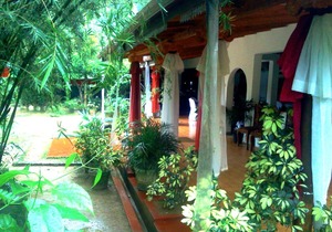 Sinharaja Green View