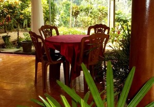 Sinharaja Green View