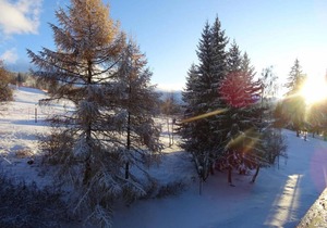 Ski-in/ski-out & foot of the slopes, 11st floor, view ski slopes, balcony, fireplace or stove, tv
