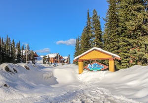 Ski-In/Out Two-Story Condo w/Free WiFi, Balcony, Private Hot Tub, Gas Fireplace