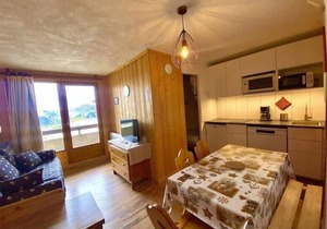 Ski-in/ski-out & foot of the slopes, 2nd floor, view ski slopes, balcony, tv, ski locker, 25m²