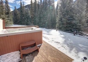 Ski Tip Ranch 8735