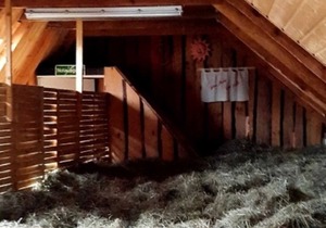 Sleeping in the hay / hay bed - Ferienhof Sarodnick