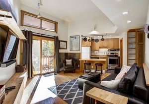 Slope Side Lodge Apt. Surrounded by Nature Steps to the Bus - Fast WiFi