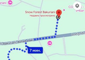 Snow Forest Bakuriani Apartment 10