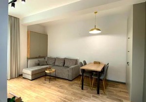 Snow Forest Bakuriani Apartment 10