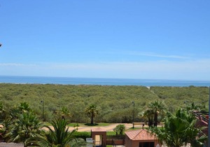 SOLMARES LAS PALMERAS 93