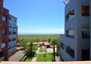 SOLMARES LAS PALMERAS 93