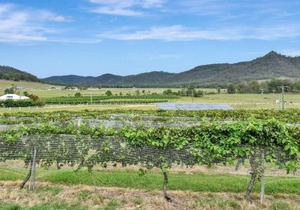 Somerville Wine Cottage Hideaway 3-Bedroom Cottage Near Broke Wineries