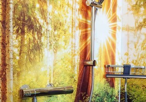 "Sonne" apartment with walk-in Franconian Forest shower