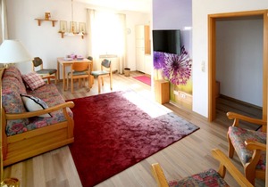 "Sonne" apartment with walk-in Franconian Forest shower