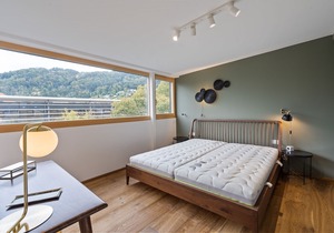 Sophisticated Apartment in Bregenz with Balcony