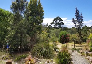 Southern Forest Accommodation