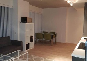 Spacious 1 Bedroom Condo - Downtown Toronto -