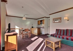 Spacious 3-room apartment, top floor, ski-in/ski-out, pets allowed