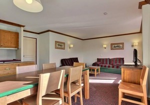 Spacious 3-room apartment, top floor, ski-in/ski-out, pets allowed