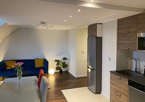 Spacious and elegant 5 'DISNEYLAND apartment