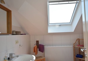 Spacious Apartment in Buschenhagen with Sauna