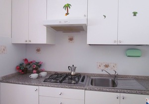 Spacious apartment with large balcony