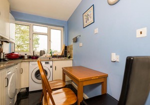 Spacious Bright Forest View Apartment