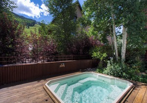 Spacious Condo in Telluride-Beautiful West Views!