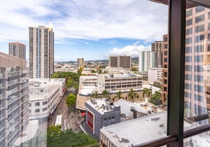 Spacious Downtown Executive Retreat Free Parking