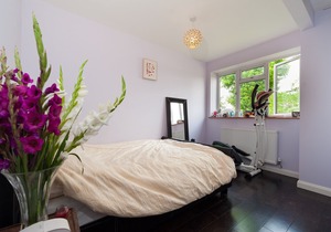 Spacious forest view apartment