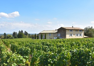 Spacious Mansion in Vinzelles with Swimming Pool