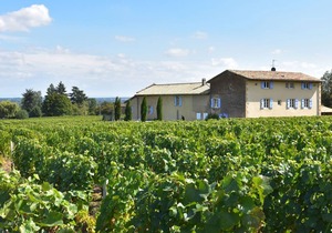 Spacious Mansion in Vinzelles with Swimming Pool