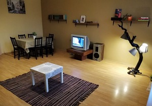 Spacious place for families or group of friends in Riga