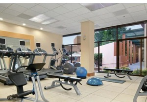 Spacious suite in San Antonio - small dogs accepted