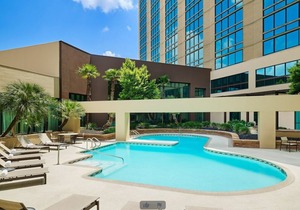 Spacious suite in San Antonio - small dogs accepted