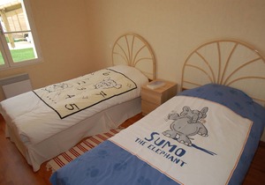 Spacious villa with private swimming pool