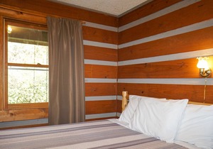 SPECIAL *Sept. 13th- Oct. 4th 20% off* Ol'Smoky Log Cabin on the River Unit 2