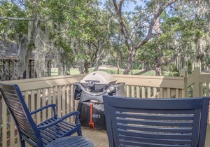 Spectacular, updated 3 BR/2BA cottage with amazing golf course views!