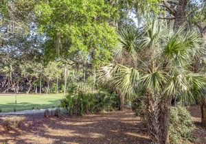 Spectacular, updated 3 BR/2BA cottage with amazing golf course views!