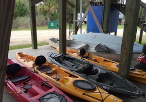 Spring Warrior Fish Camp Studio Room, Located On the Gulf of Mexico