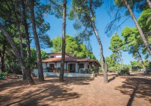 Squirrel Beach Front Villa, Metamorfosi